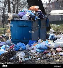Best Yard Waste Removal  in Rochester, IN